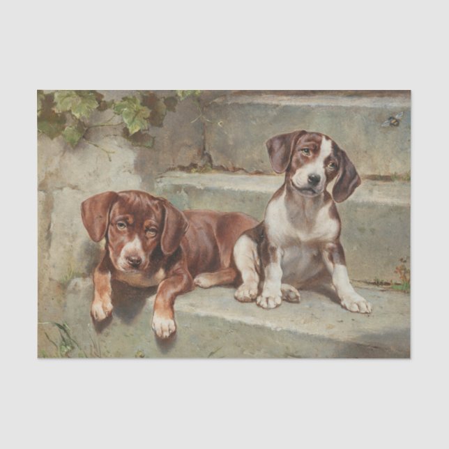 Papier Mousseline Gestorte Siesta par Carl Reichert (Recto)