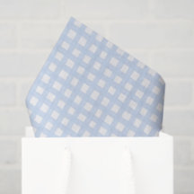 Gingham Bleu Grandmillennial de la Côte Sud