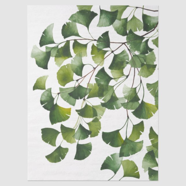 Papier Mousseline Ginkgo Biloba vert -  (Recto)