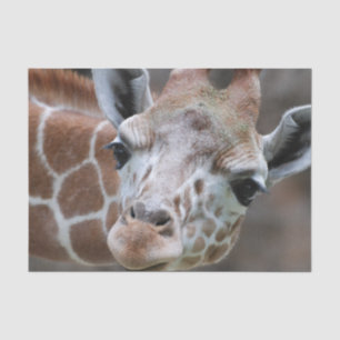 Papier Mousseline Girafe mignonne