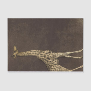 Papier Mousseline Giraffe vintage