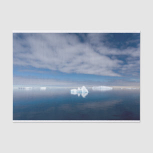Papier Mousseline Glace flottante en Antarctique