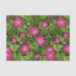 Papier Mousseline Gloire du matin en rose et vert