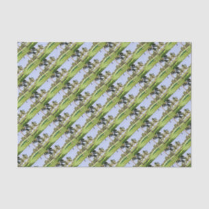 Papier Mousseline Goa India 2