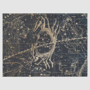 Papier Mousseline Gold Galaxy Star Map Series Design 6