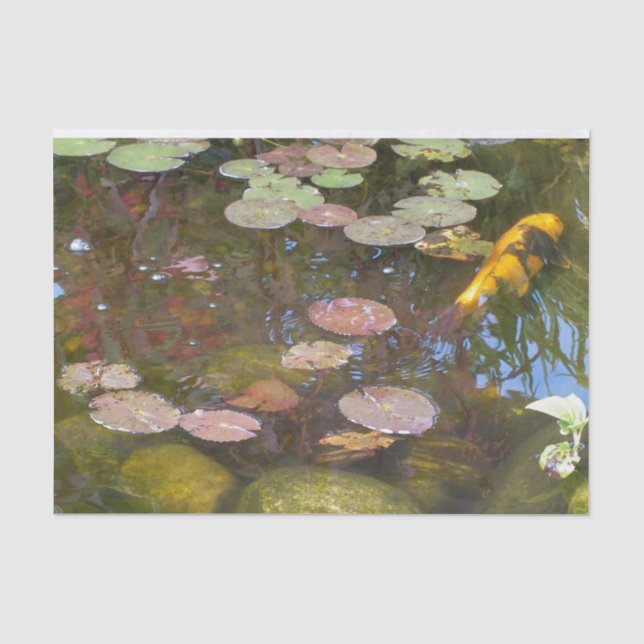 Papier Mousseline Gold Koi dans l'étang Lily (Recto)
