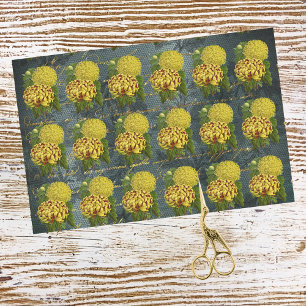 Papier Mousseline Gold Red Chrysanthèmes sur Turquoise Damask en écr