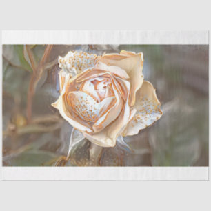 Papier Mousseline Gold Silk Unique Rose
