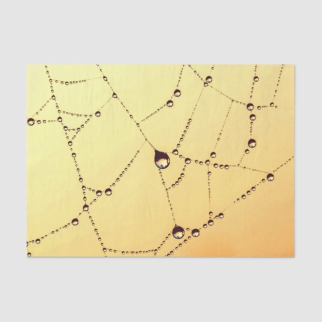 Papier Mousseline Gold spiderweb élégant (Recto)