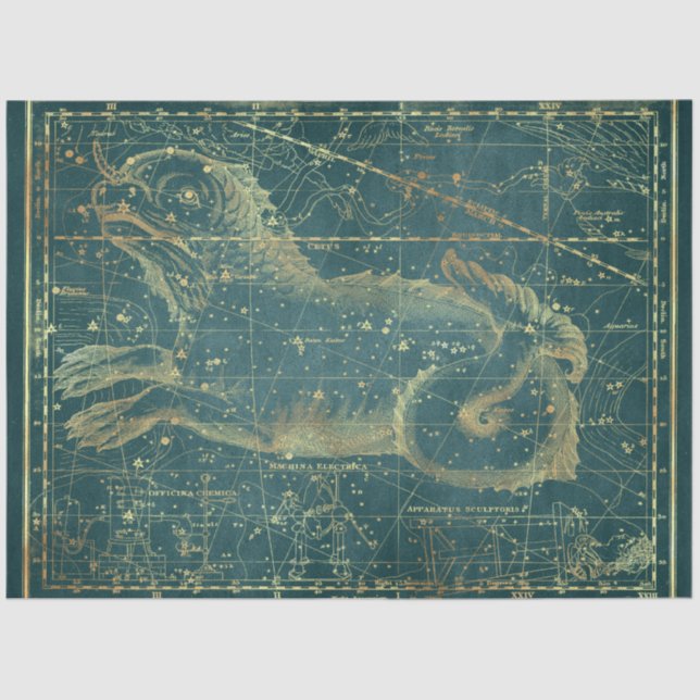 Papier Mousseline Gold Star Map Series Design 22 (Recto)