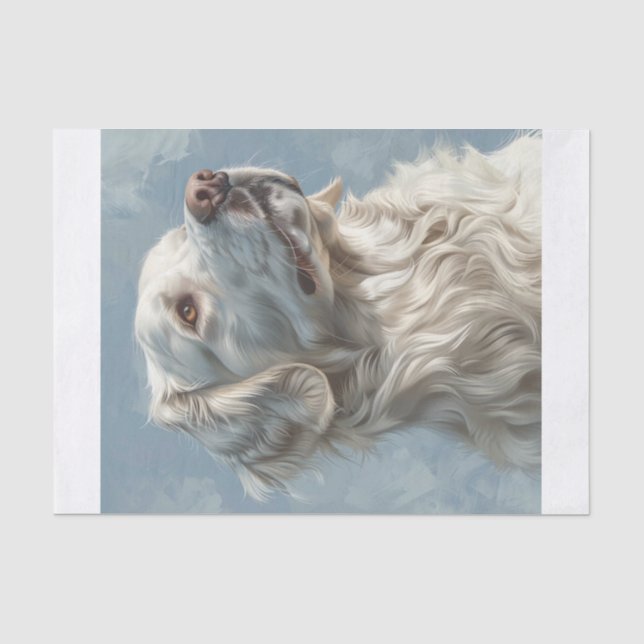 Papier Mousseline Golden Retriever8 (Recto)