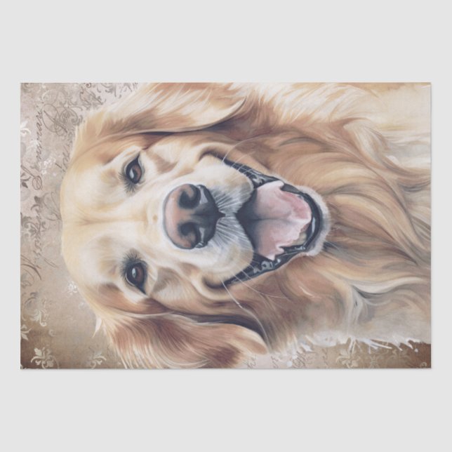 Papier Mousseline Golden Retriever Chien (Recto)