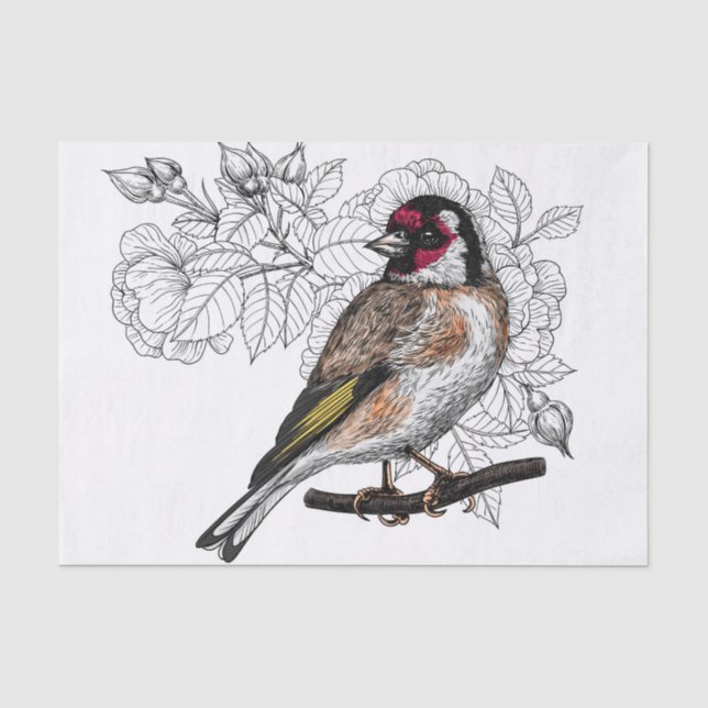 Papier Mousseline Goldfinch et rose (Recto)