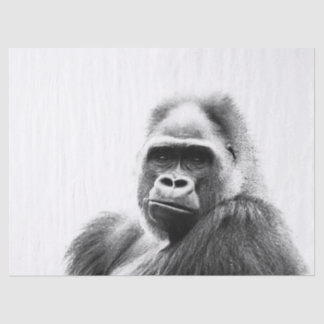 Papier Mousseline Gorilla