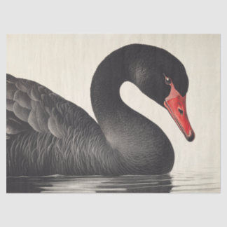 Papier Mousseline Gracity Black Swan en Ornithologie Style Découpage