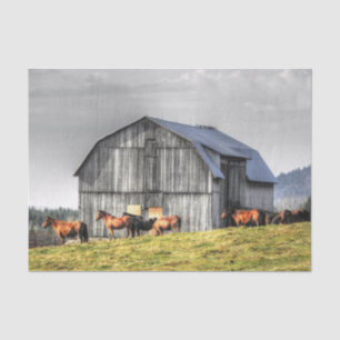 Papier Mousseline Grande grange grise et chevaux majestueux