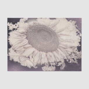 Papier Mousseline Grands Tournesols Vintage Violet Sépia Vignette
