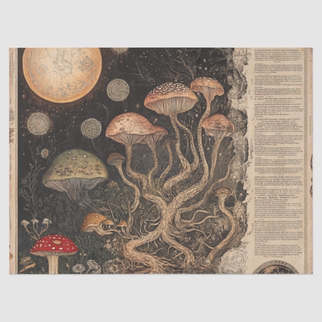 Papier Mousseline Graphique botanique de champignons vintage (7) (Recto)