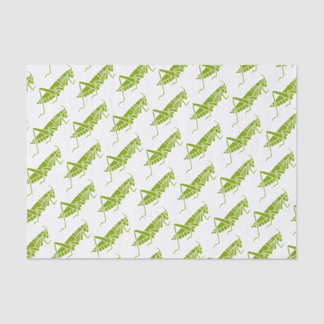 Papier Mousseline Grasshoppers (Recto)