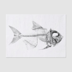 Papier Mousseline Gravure à l'eau-forte squelettique de poissons