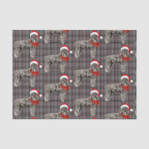 Papier Mousseline Grey Plaid et Noël Bouvier Amoureux des chiens Hol