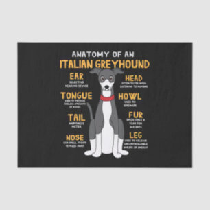 Papier Mousseline Greyhound Anatomy Funny Dog Maman Poison