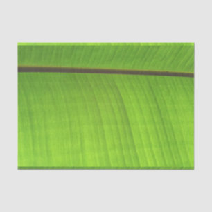 Papier Mousseline Gros plan de la feuille de banane
