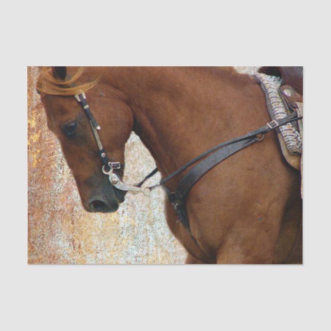 Papier Mousseline Grunge occidentale de cheval d'oseille (Recto)