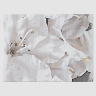 Papier Mousseline *~* Grunge Rustique Azalea Fleurs Blanc Neutre