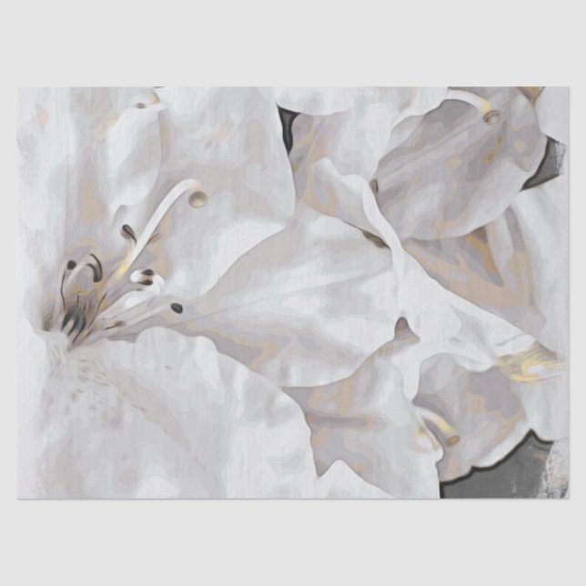 Papier Mousseline *~* Grunge Rustique Azalea Fleurs Blanc Neutre (Recto)