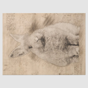 Papier Mousseline Grunge rustique Bunny