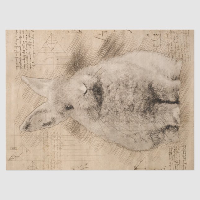 Papier Mousseline Grunge rustique Bunny (Recto)