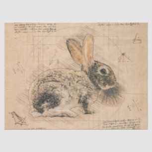 Papier Mousseline Grunge rustique Bunny