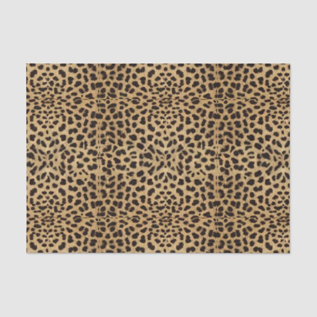Papier Mousseline Guépard de poster de animal (Recto)