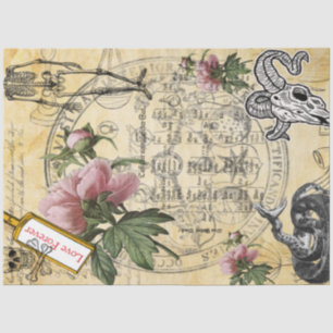 Papier Mousseline Halloween Alchimie Pink Peony Ephemera squelette