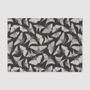 Papier Mousseline Halloween Motif papillon de papillon noir