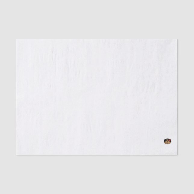 Papier Mousseline HAMbyWG - 10lb Papier Tissu, bleu clair (Recto)