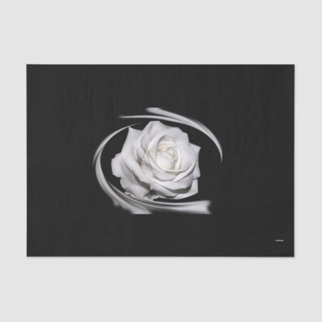 Papier Mousseline HAMbyWG Rose blanche - (Recto)