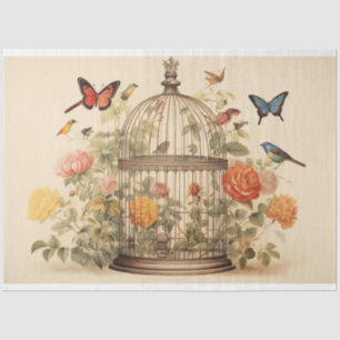 Papier Mousseline Harmonie élégante : Découpage de cage d'oiseaux