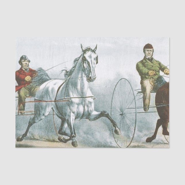 Papier Mousseline HAUT Cheval Poésie (Recto)