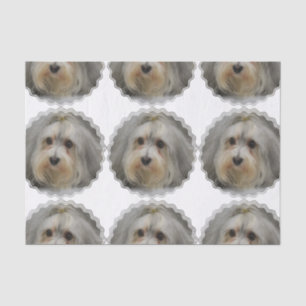 Papier Mousseline Havanese