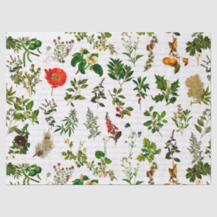 Papier Mousseline Herbarium des fleurs de plantes pharmaceutiques de