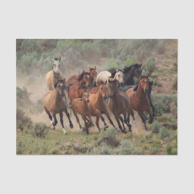 Papier Mousseline Herbe de Mustang (Recto)
