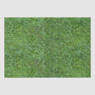 Papier Mousseline Herbe verte