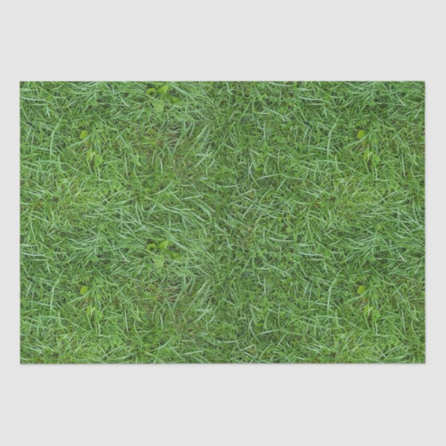 Papier Mousseline Herbe verte (Recto)
