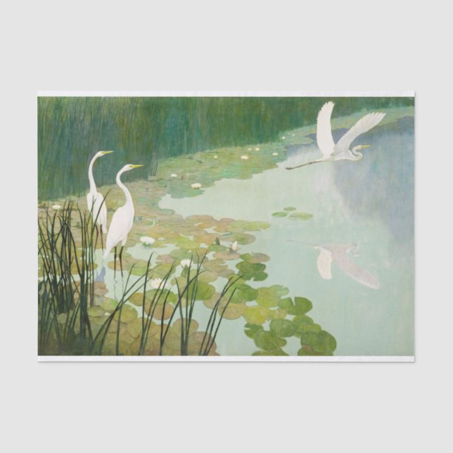 Papier Mousseline Hérons en été par Newell Convers Wyeth (Recto)