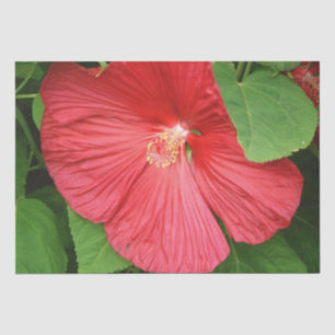 Papier Mousseline Hibiscus Flower Bright Magenta