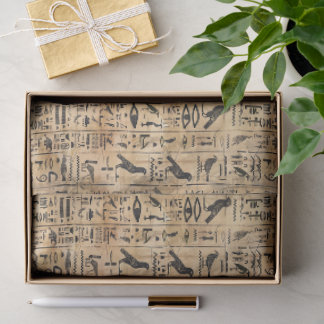 Papier Mousseline Hiéroglyphes égyptiens Motif d'oiseaux 2
