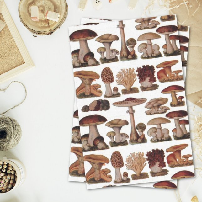 Papier Mousseline hipster imprimé botanique français champignons vin (hipster french botanical print vintage mushrooms tissue paper)