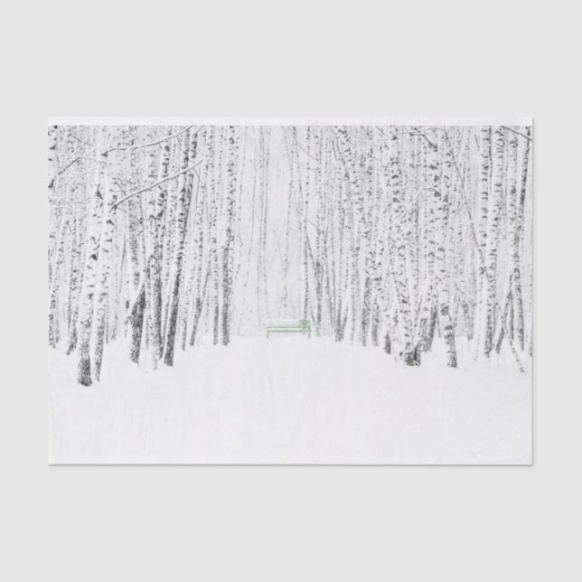 Papier Mousseline Histoire de Noël blanche (Recto)